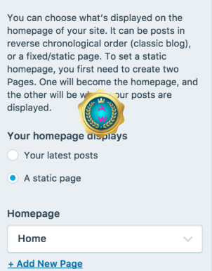 Come impostare una pagina statica come pagina iniziale (Home Page).