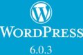 Versione di sicurezza di WordPress 6.0.3